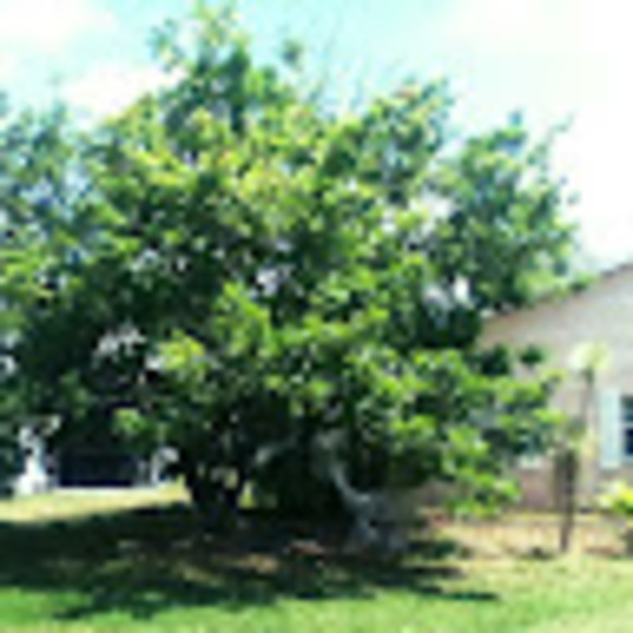 Meet your Posher, Ralph - Picture 1 of 1